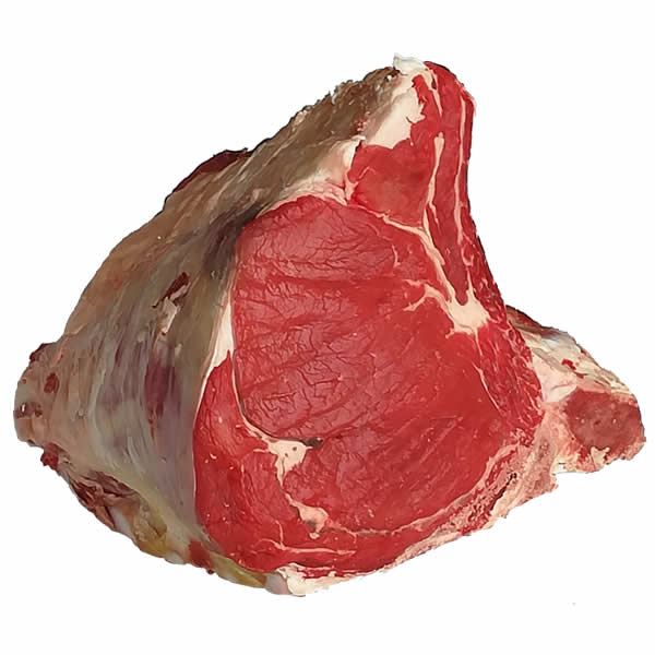 Costata