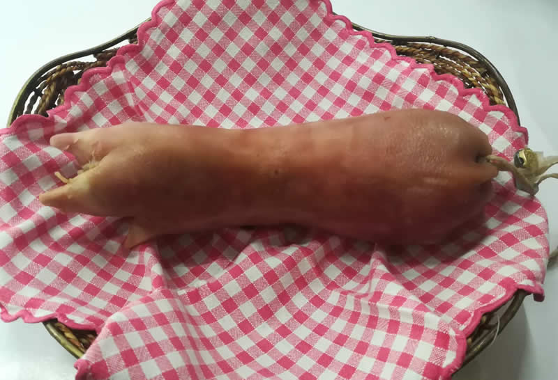 ZAMPONE